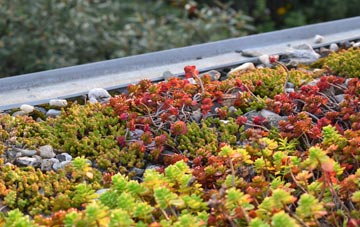 the cost of Castlefields green roof installation
