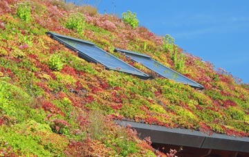 Castlefields living roof systems