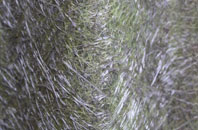 Castlefields fibreglass roof work